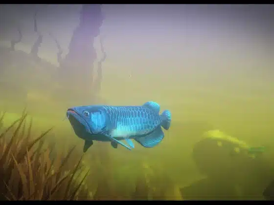 Tải Feed and Grow: Fish Miễn Phí