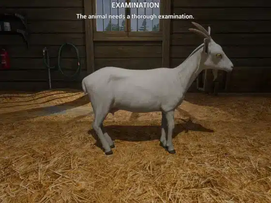 Tải My Life: Farm Vet Miễn Phí