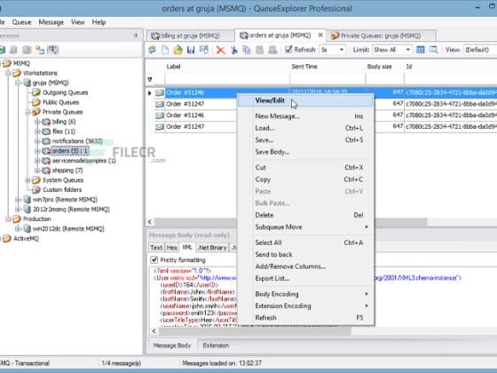 Tải Cogin QueueExplorer Professional 5.0.47 Miễn Phí