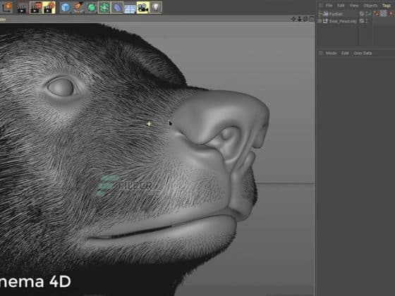 Tải Ephere Ornatrix 2.0.10.26200 for Cinema 4D Miễn Phí