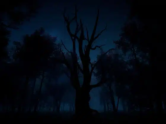Tải Slender: The Arrival Miễn Phí