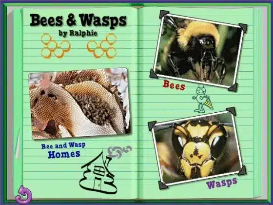 Tải The Magic School Bus Explores Bugs Miễn Phí