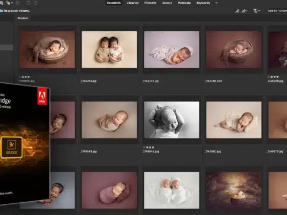 Tải Adobe Bridge 2025 v15.0 Miễn Phí