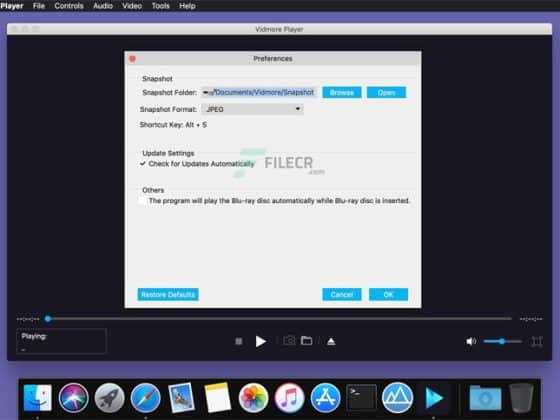 Tải Vidmore Player 1.0.66 Miễn Phí
