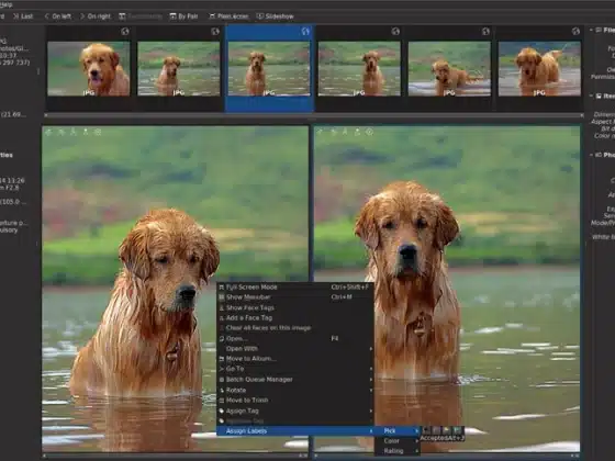 Tải digiKam 8.5.0 Miễn Phí