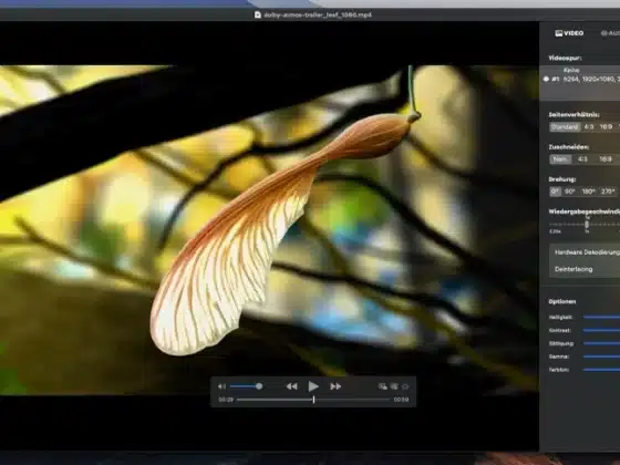 Tải IINA Player 1.3.5 Miễn Phí
