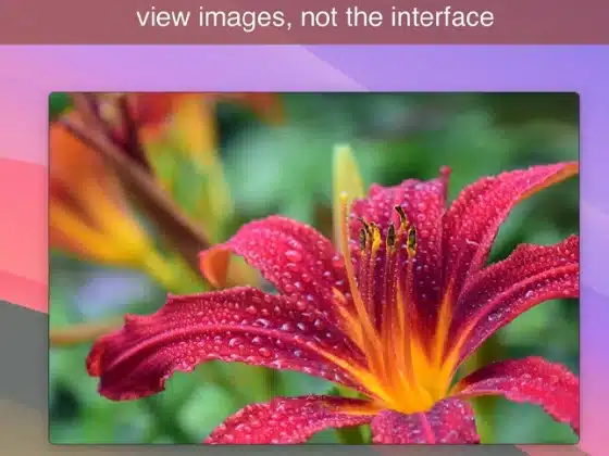 Tải LilyView 1.6.0 Miễn Phí