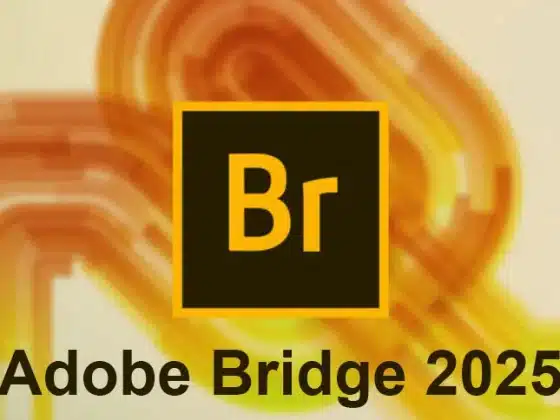 Adobe Bridge 2025 (v15.0.3.525) Download Miễn Phí
