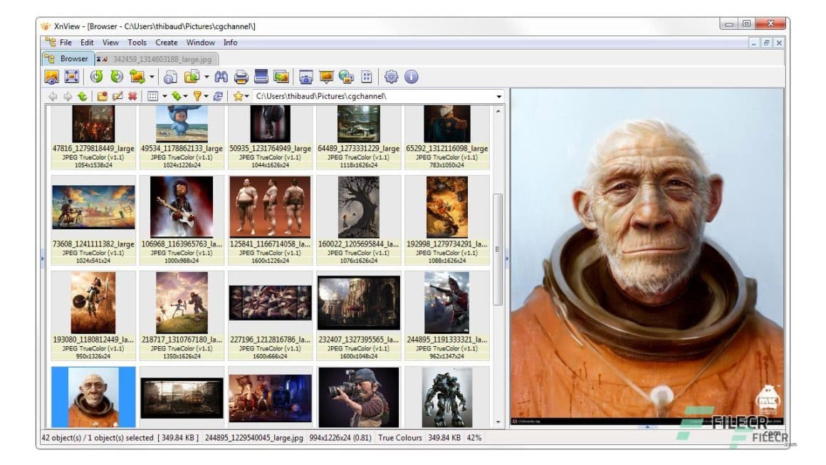 XnView 2.52.1 Complete Download Miễn Phí