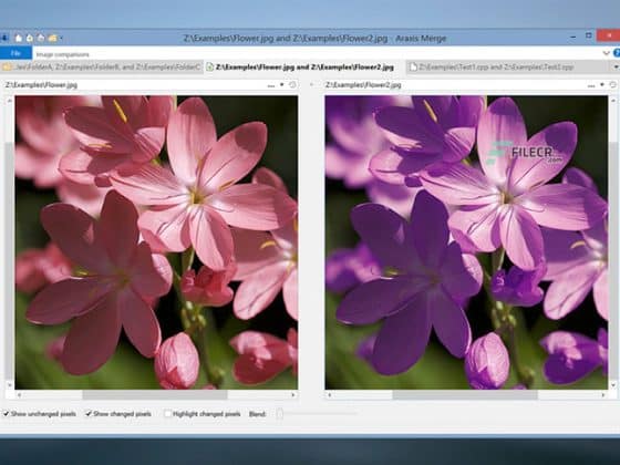 Araxis Merge Professional Edition 2024.6002 Download Miễn Phí