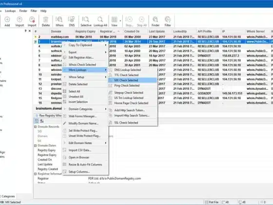Domain Punch Pro 4.0 Download Miễn Phí