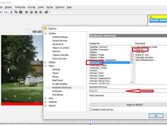 FAB Subtitler Pro 11.34 Download Miễn Phí