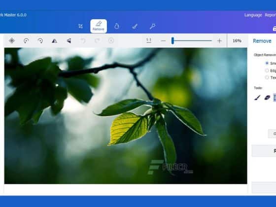 GiliSoft Photo Stamp Remover Pro 10.1 Download Miễn Phí