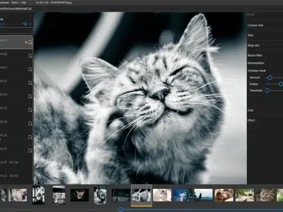 NeeLaboratory NeeView 43.0 Download Miễn Phí