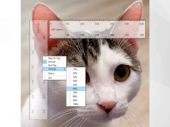 Ruler 2.1 Download Miễn Phí