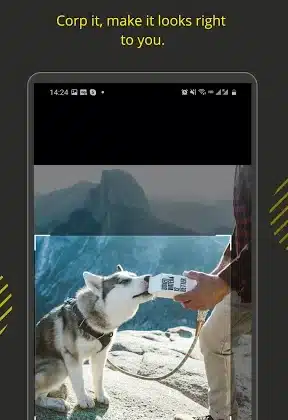 Icon Changer - for app icons 1.3.4 Download Miễn Phí