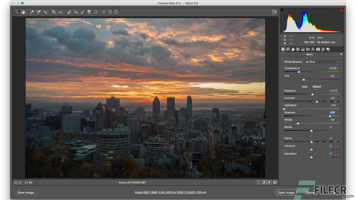 Adobe Camera Raw 17.5 Download Miễn Phí