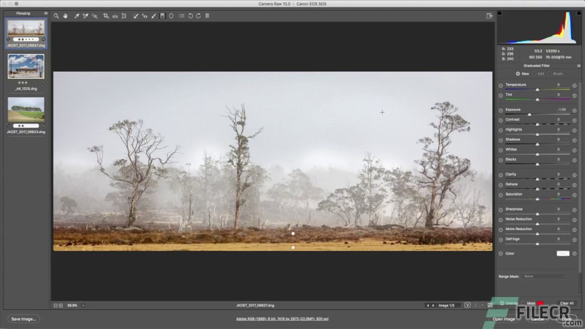 Adobe Camera Raw CC 17.4.2 Download Miễn Phí