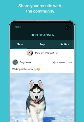 Dog Scanner: Breed Recognition 19.2.1-G Download Miễn Phí