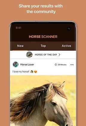 Horse Scanner 20.3.2-G Download Miễn Phí