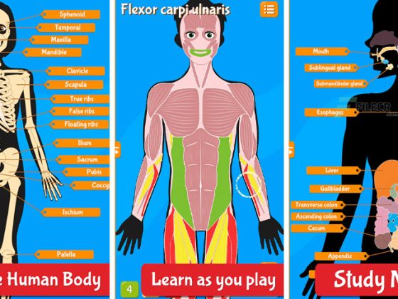 Human Anatomy - Body parts 2025.3.0 Download Miễn Phí
